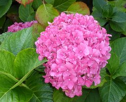 bild08