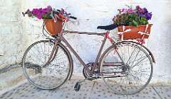 118: bild118